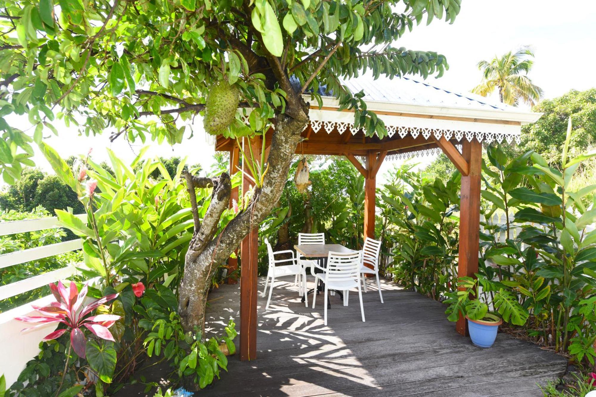 Belavue & Spa Prive, Avec Vue Panoramique Sur Mer, Jardin Creole Paysager, Jacuzzi Prive Bouillante Eksteriør billede