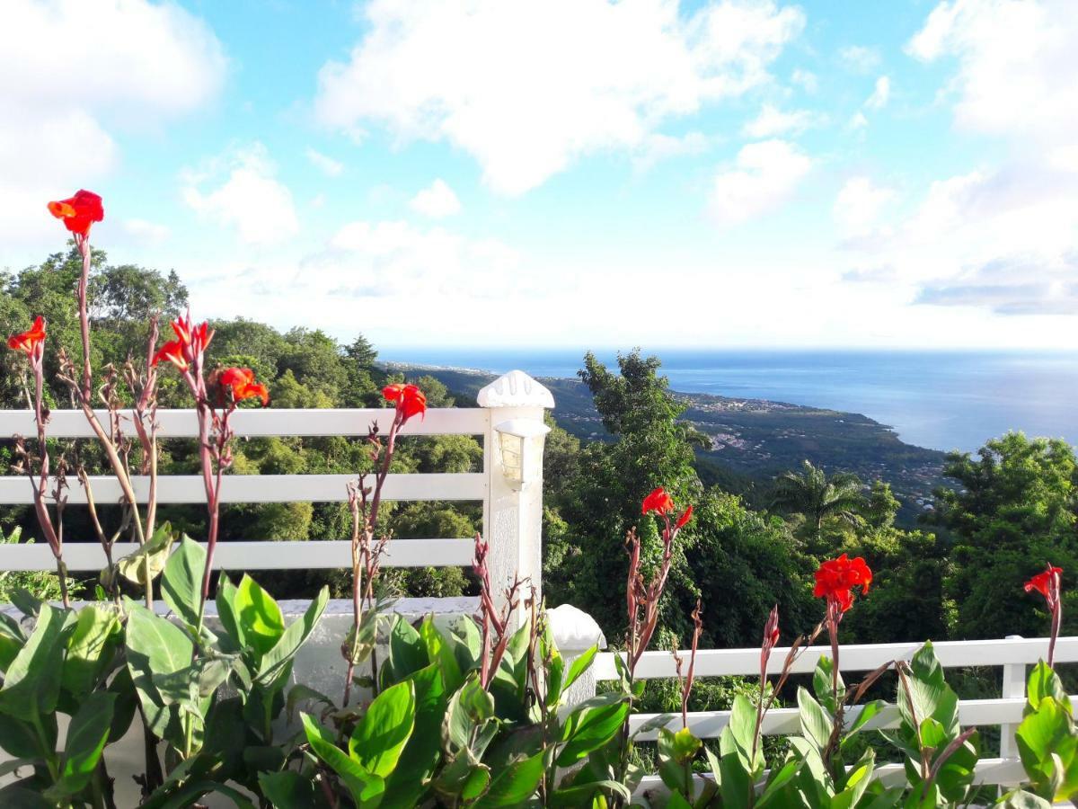 Belavue & Spa Prive, Avec Vue Panoramique Sur Mer, Jardin Creole Paysager, Jacuzzi Prive Bouillante Eksteriør billede